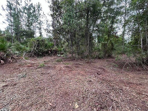 3rd image of 147 Roebuck Street