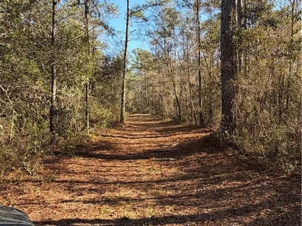 3833 Old Louisville Road, Guyton, GA 31312