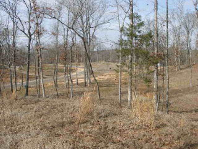 1st image of 1009 Whitetail Dr