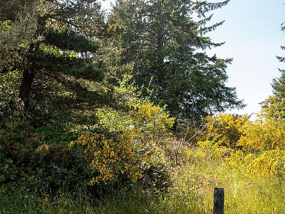 4th image of 221 Canal Drive SE