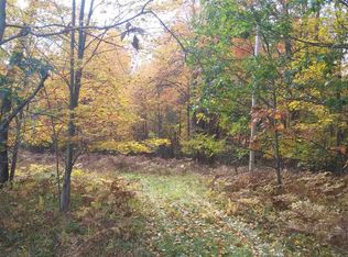 0 30 3/4 Rd, Cadillac, MI 49601