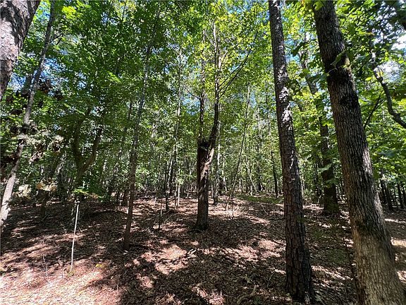 5th image of TRACT Cann Rd #A