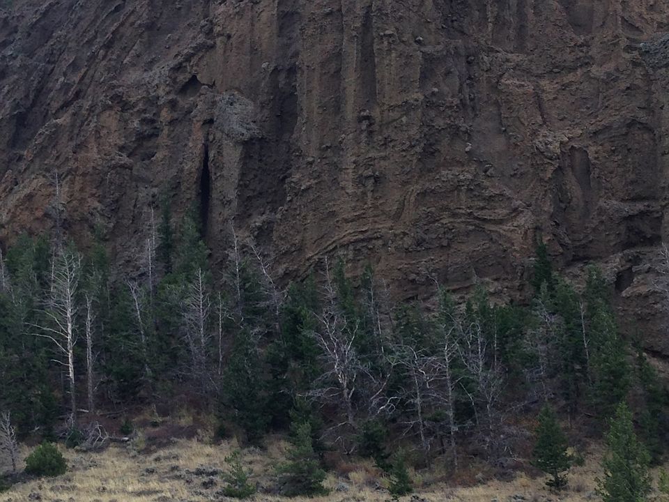 2nd image of Cody's Country #28