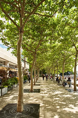 Rented by Compass | media 13