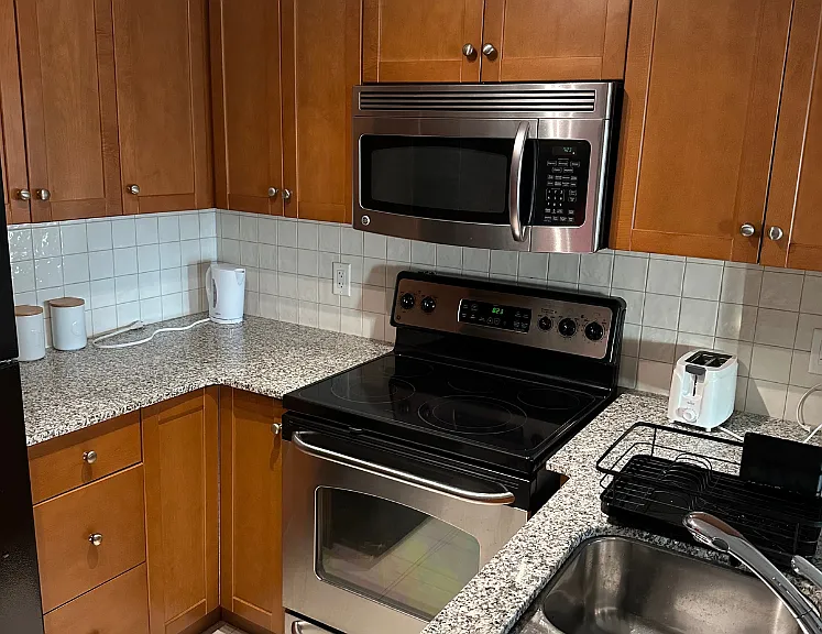 Kitchen appliances - includes stainless dishwasher (unseen in photo - recessed under right side of counter shown