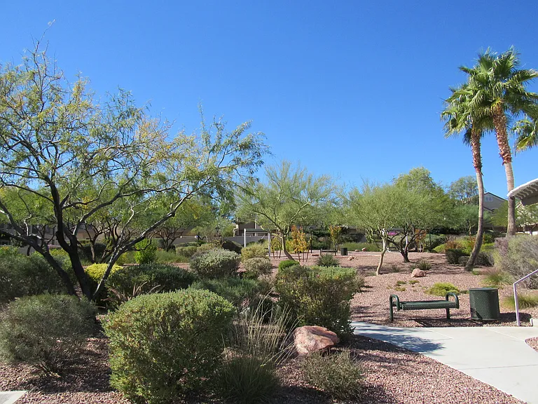 9068 Bushy Tail Ave #101 — Photo 20