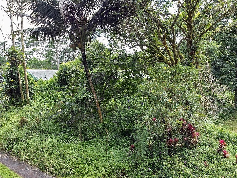 1st image of King Kamehameha Blvd