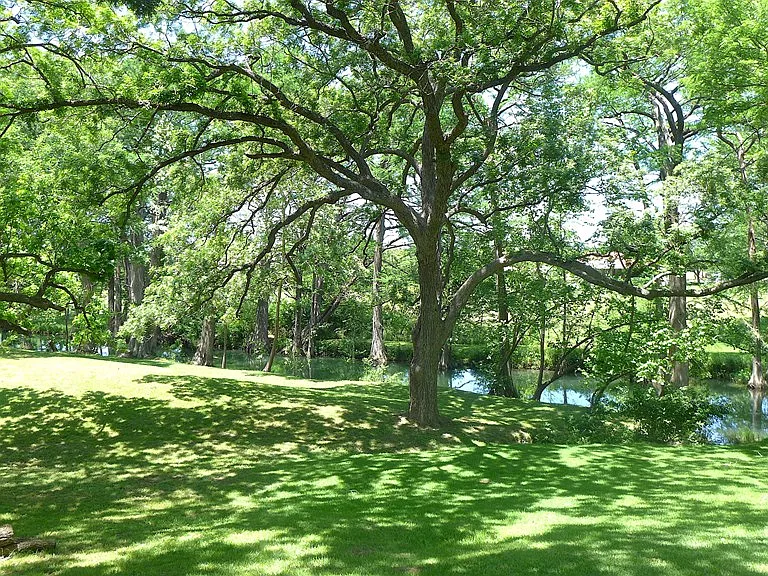 156 Verde Park Blvd — Photo 24