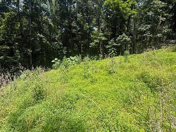 5th image of 1712 Moormans Rd