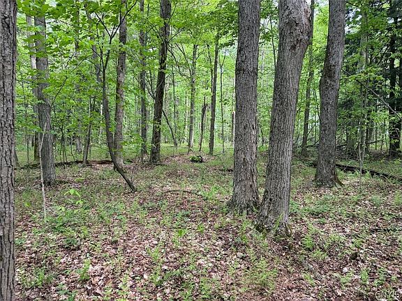 5th image of Kellogg Hill Rd