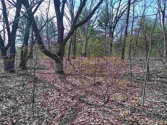4th image of L1 & 2 S Fern Dr