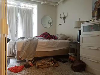 Rented by Simply Brooklyn Realty Inc