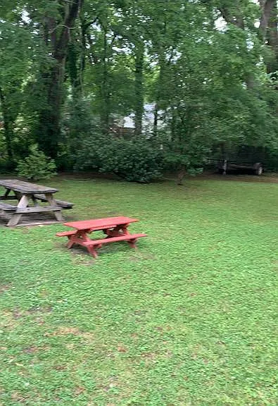 Spacious backyard. Lots of shade.
Picnic table area