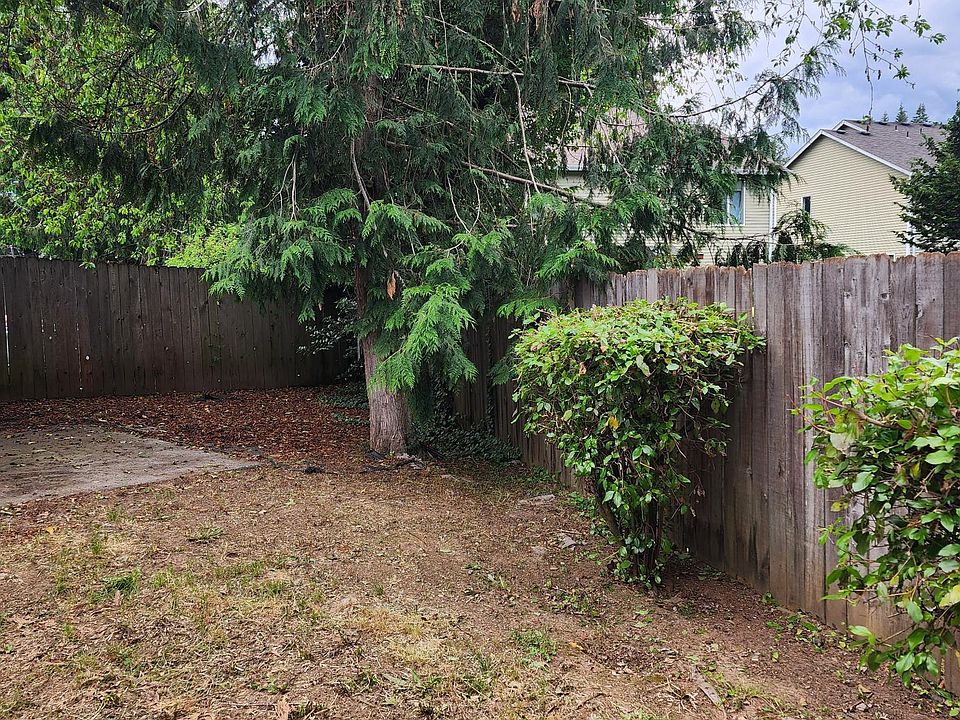 Fenced Backyard