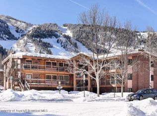 835 E Hyman Ave APT C, Aspen, CO 81611