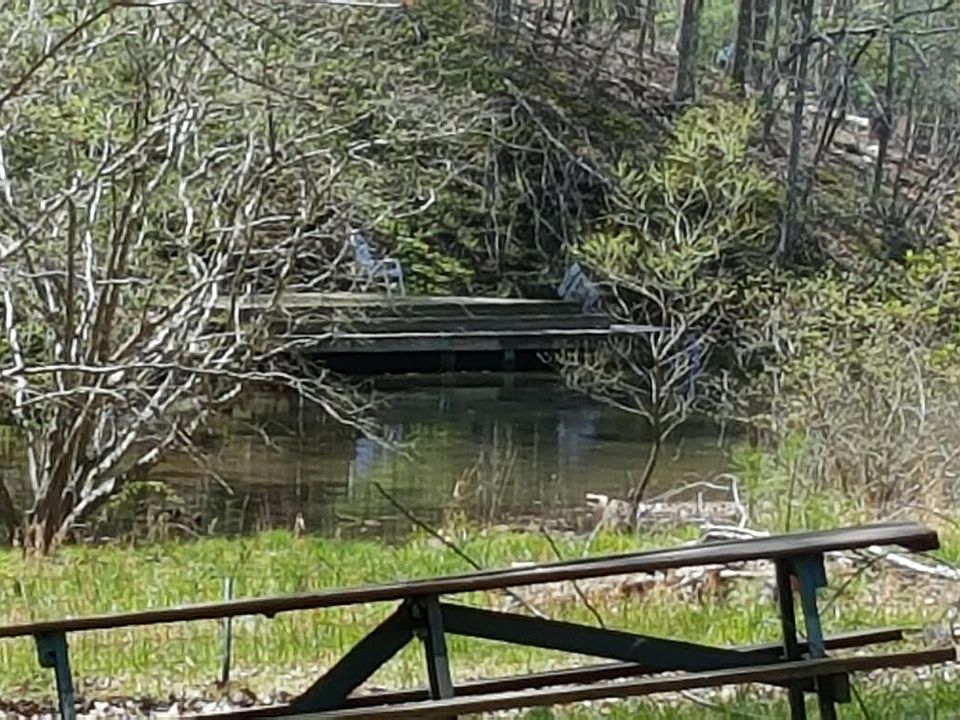 610 Harbor Trl VA, 24121 Apartments for Rent Zillow