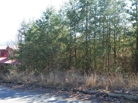 5th image of 0 N Trail Dr Lot 19