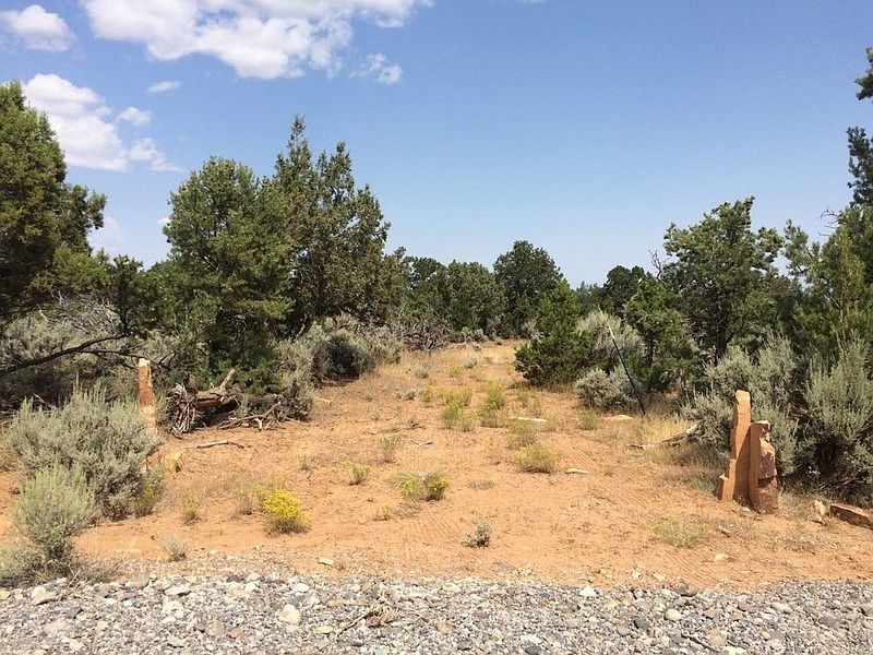 1st image of Tbd V 60 Trail