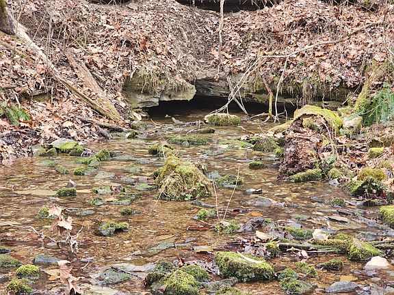 5th image of 10 Blowing Springs Rd