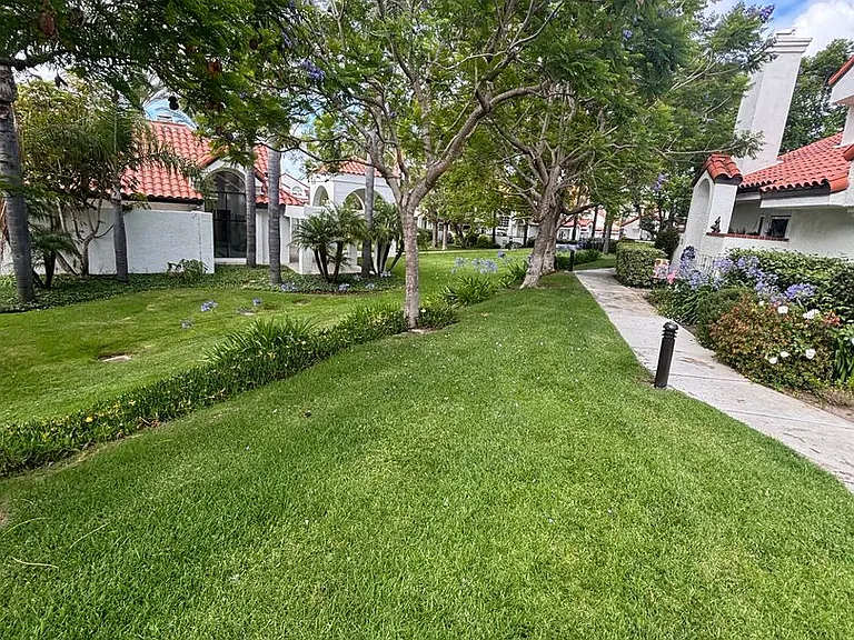 231 Camino Toluca — Photo 40