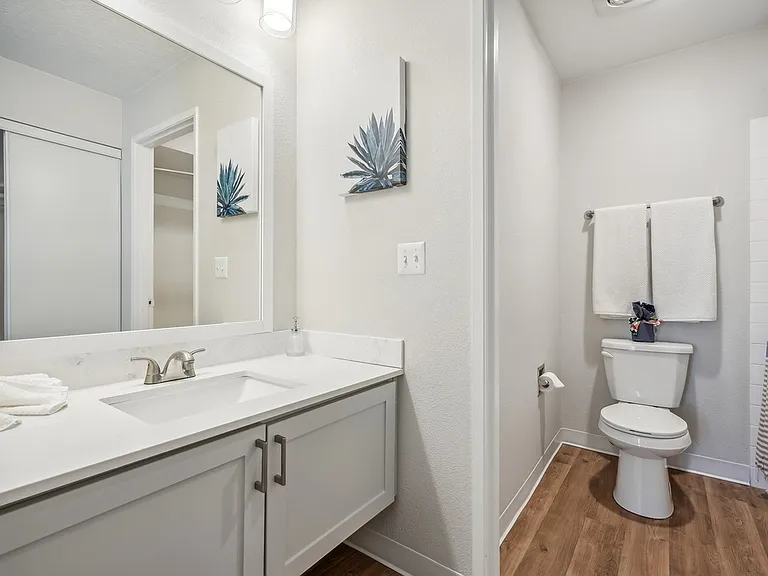 Primary Bathroom Primary Bathroom