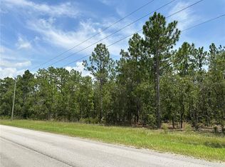 Xx Sw 11 St LOT 66, Dunnellon, FL 34432