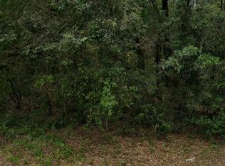 9012 N Westminister Ave, Citrus Springs, FL 34434