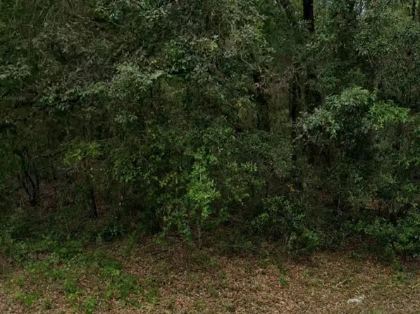 9012 N Westminister Avenue, Citrus Springs, FL 34434