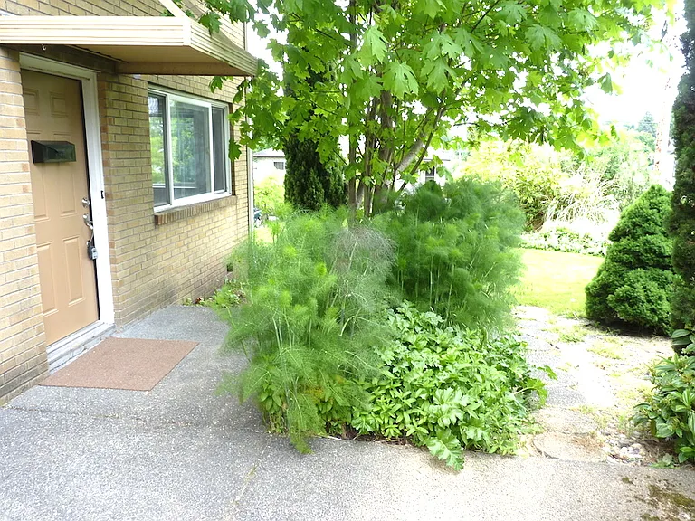 2518 E Pike St — Photo 16