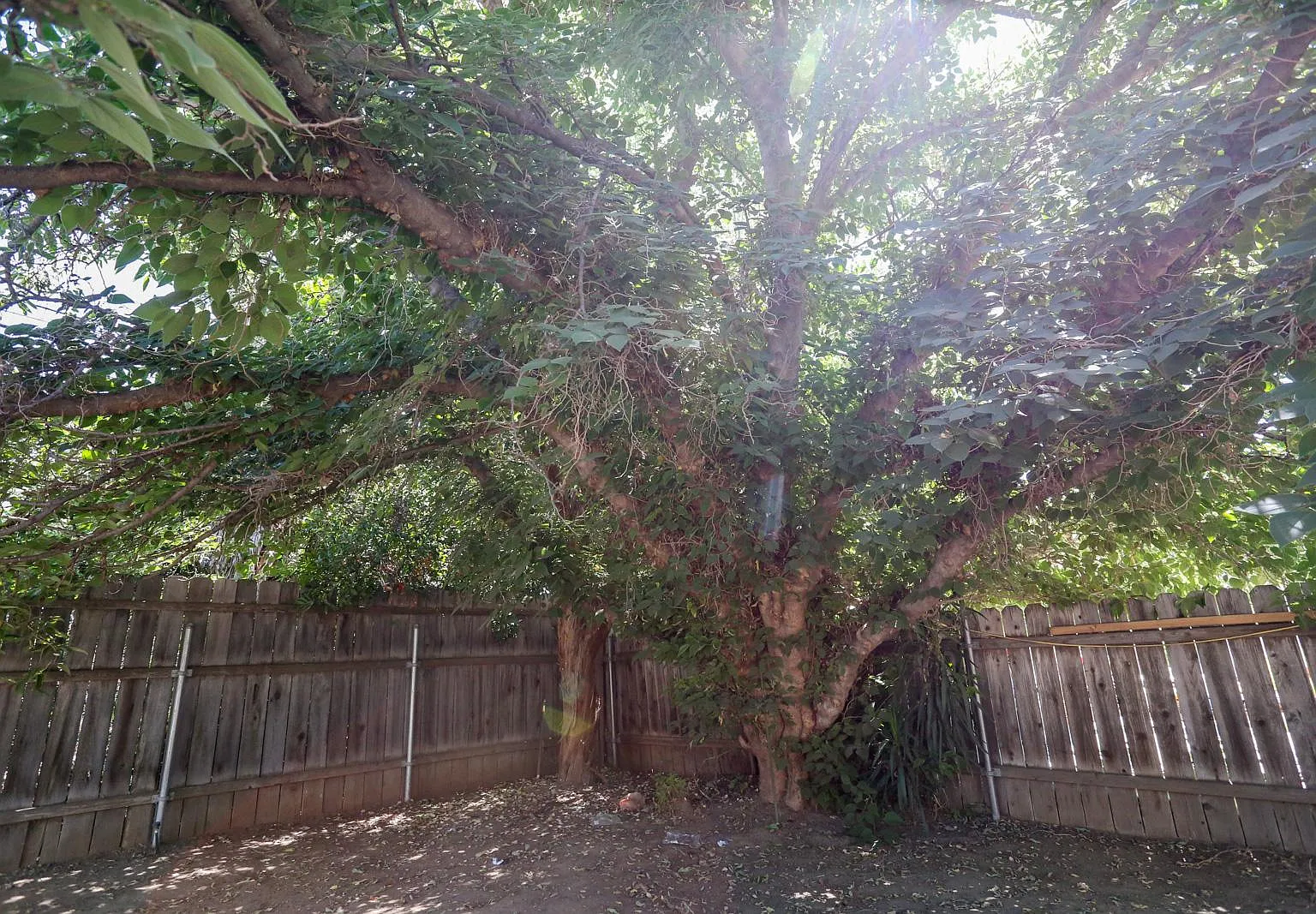 19422 Archwood St — Photo 3