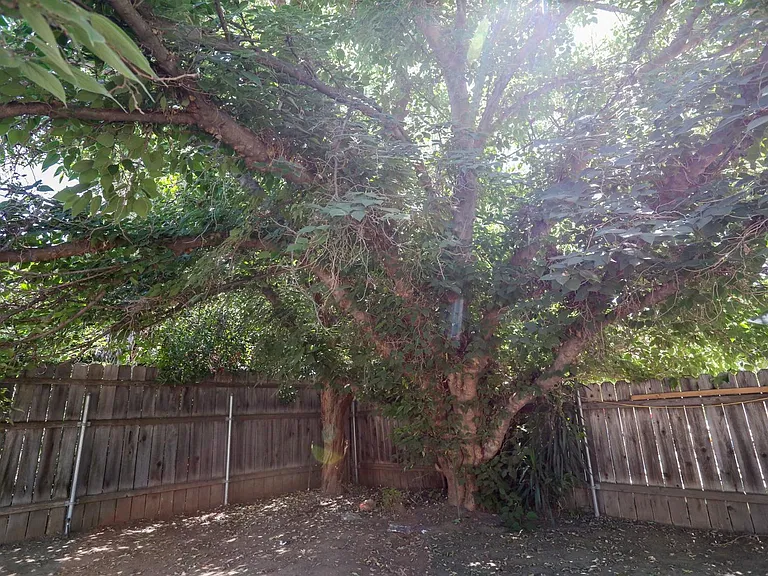 19422 Archwood St — Photo 3