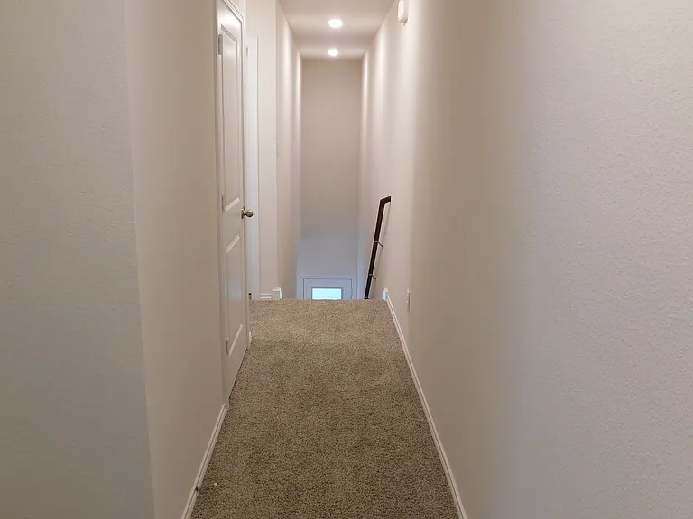 7011 Jessamine Dr — Photo 14