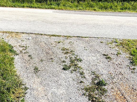 3rd image of 354 Thief Hollow Road