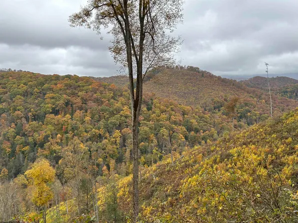 0 Hile Run Rd, Parsons, WV 26287