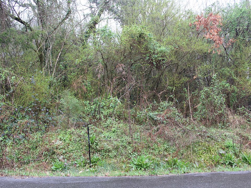 1st image of LOT 1 Ramsey St NE Lot 1