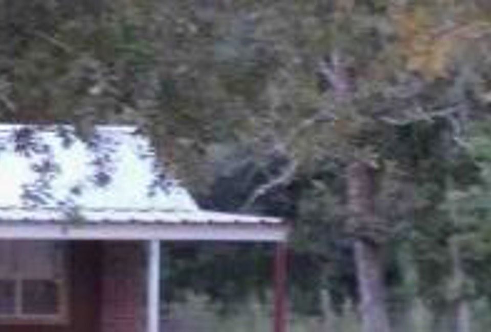 Property Side View