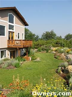 Sunny backyard with native perennials