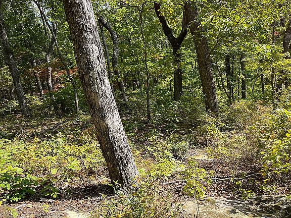 5th image of Coal Bank Rd Lot 39