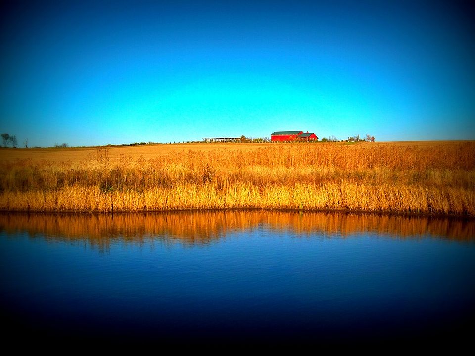 65 acres & complete privacy