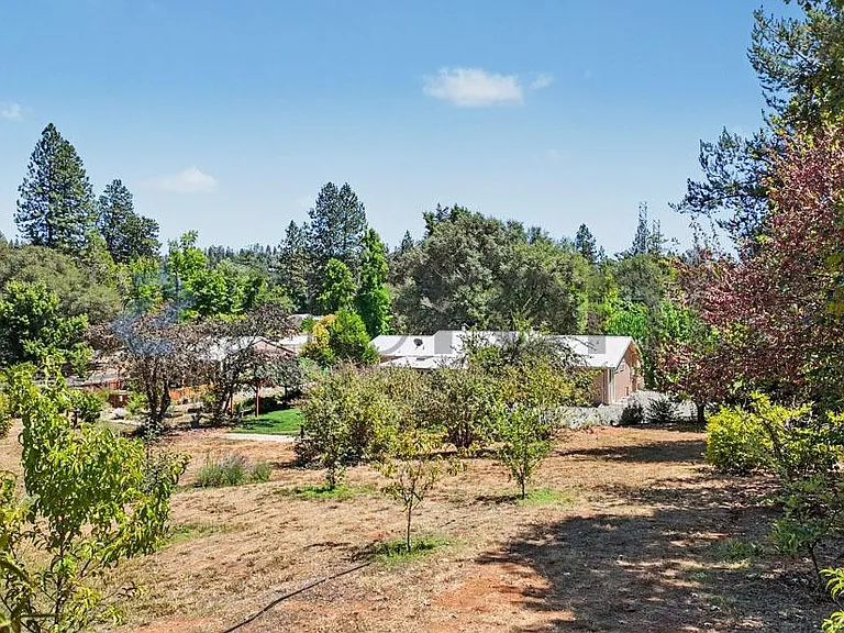 17068 Vintage Dr — Photo 66