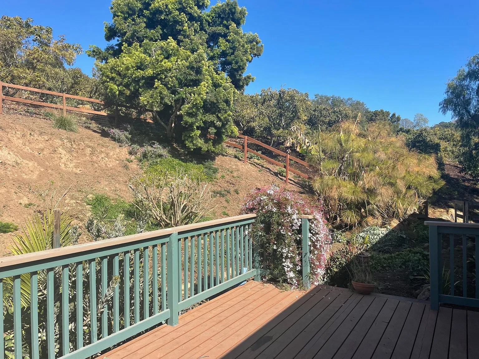 6702 Casitas Pass Rd — Photo 3