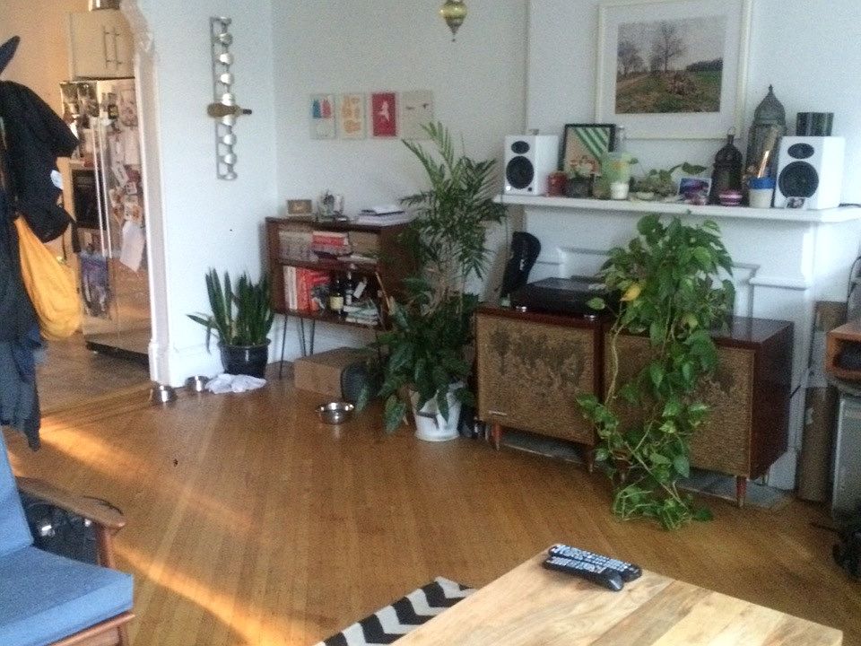 1st image of 63 Cambridge Pl APT 2