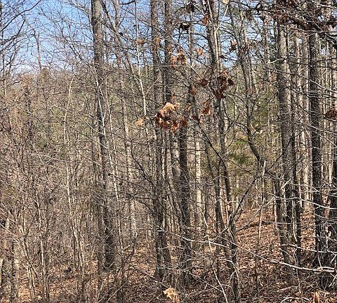 4th image of County Road 501