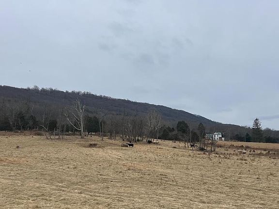 5th image of 109 Mulberry Ln