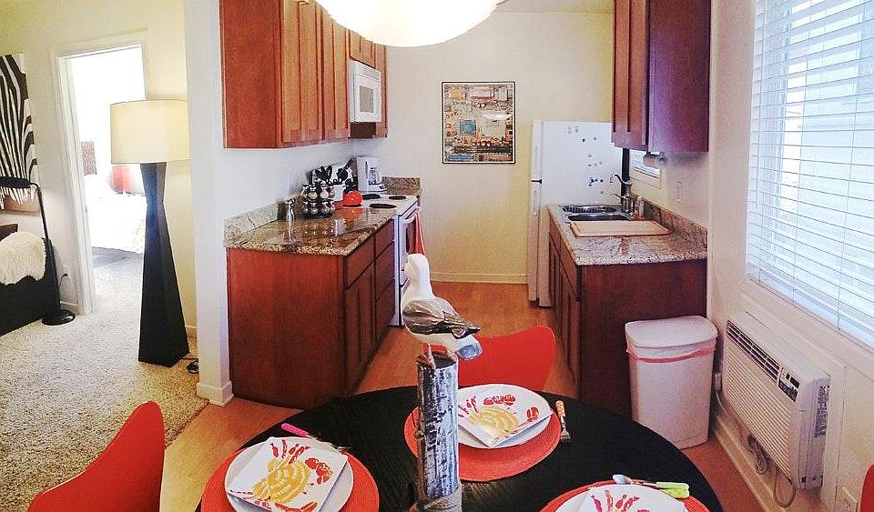 The gourmet cook's kitchen
