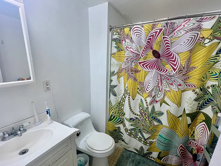 62 Egmont St #1 — Photo 19