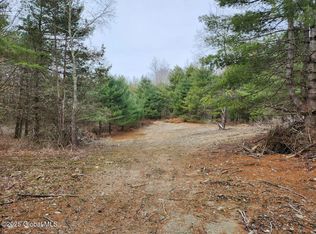 L267 Pine Hill Rd, Salem, NY 12865