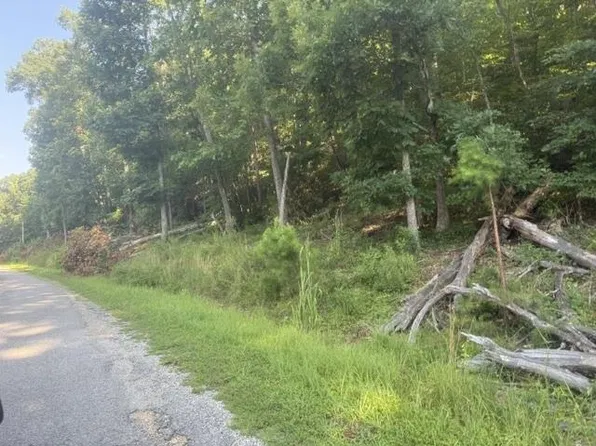 Tracts 7 9 Carroll Hollow Road 9 Lot 7-8, Waynesboro, TN 38485