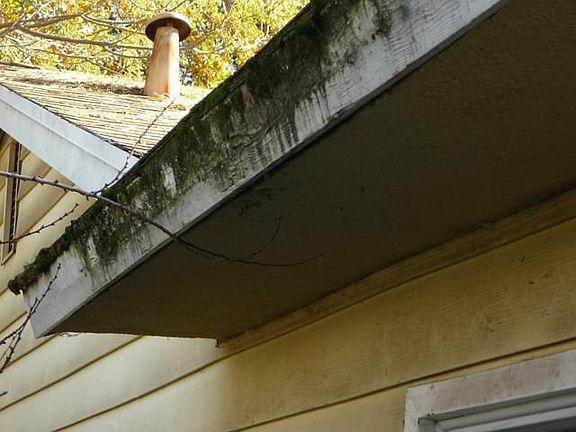 3rd image of 2119 McGregor Dr