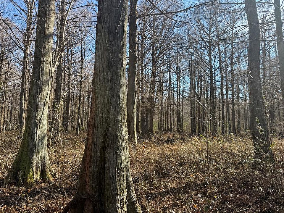 1st image of 0 County Road 127